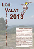Journal 2013